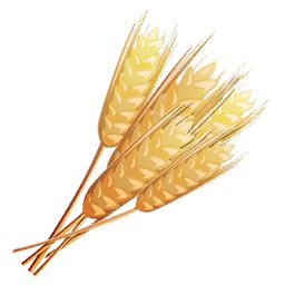 小麦 PNG透明背景免抠图元素 素材中国编号:36386