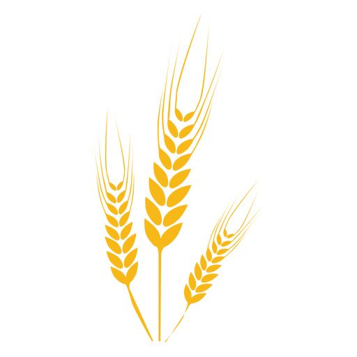 小麦 PNG透明背景免抠图元素 素材中国编号:36396