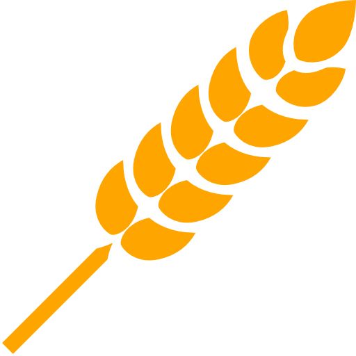 小麦 PNG免抠图透明素材 16设计网编号:36401