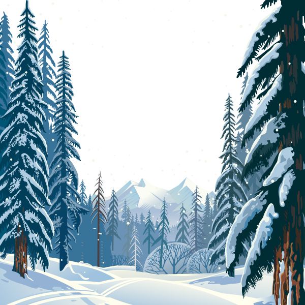 冬季森林 PNG免抠图透明素材 16设计网编号:95962