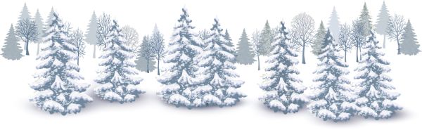 冬季森林 PNG免抠图透明素材 16设计网编号:95965