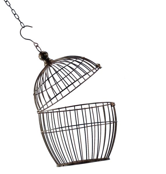 笼中鸟 PNG免抠图透明素材 16设计网编号:41416
