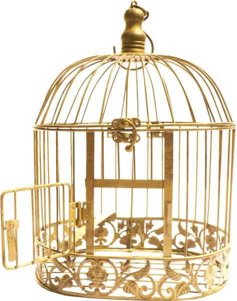 笼中鸟 PNG免抠图透明素材 16设计
