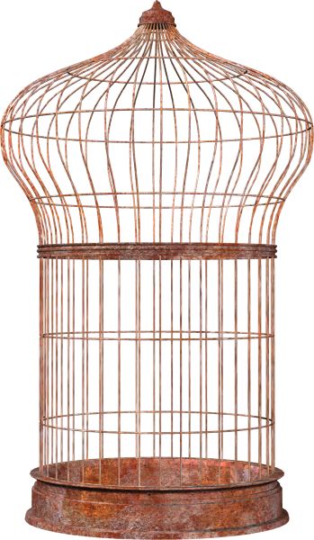 笼中鸟 PNG免抠图透明素材 16设计