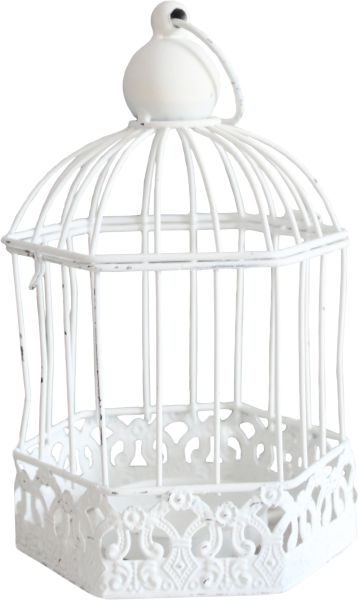 笼中鸟 PNG免抠图透明素材 16设计网编号:41437