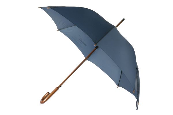 雨伞 PNG免抠图透明素材 素材天下编号:69217