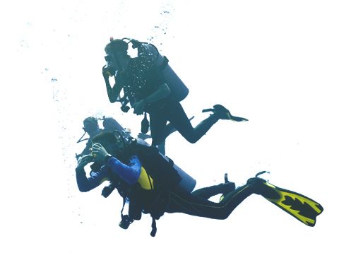 潜水员 PNG透明背景免抠图元素 16图库网编号:45696