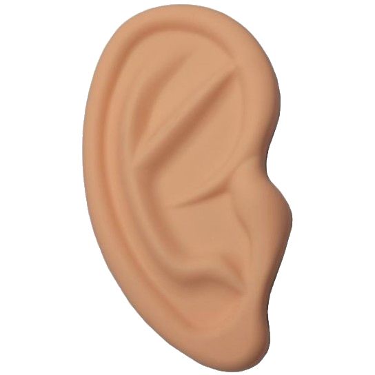 耳朵 PNG免抠图透明素材 16设计网编号:35686