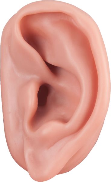 耳朵 PNG免抠图透明素材 素材中国编号:35687