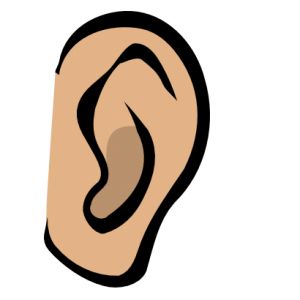 耳朵 PNG免抠图透明素材 16设计网编号:35708