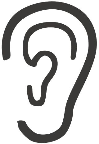 耳朵 PNG透明背景免抠图元素 16图库网编号:35709