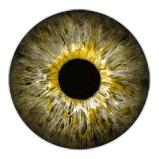 眼睛PNG免抠图透明素材 16设计网编号:35634