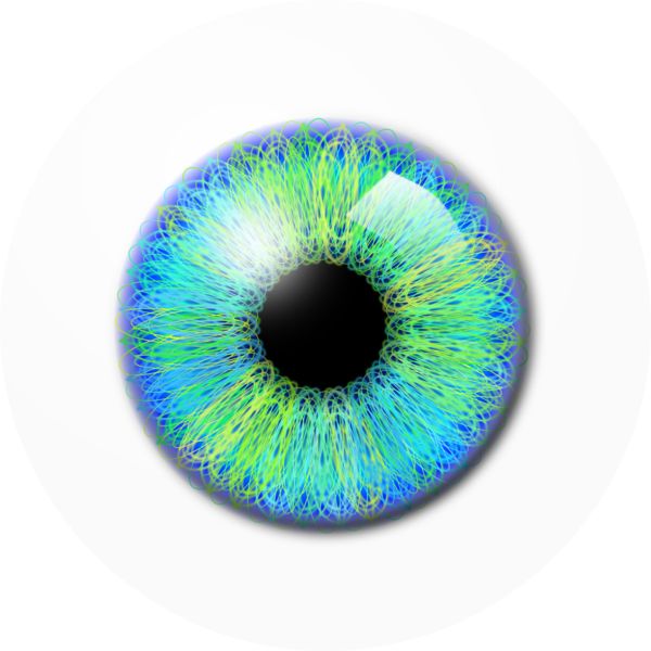 眼睛PNG免抠图透明素材 16设计网编号:35635