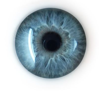 眼睛PNG透明元素免抠图素材 16素材网编号:35639