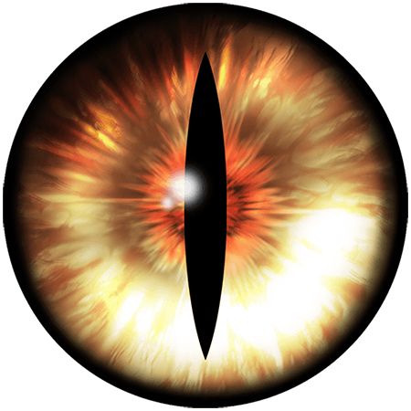 眼睛PNG透明背景免抠图元素 16图库网编号:35645