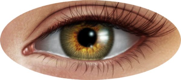 眼睛PNG透明元素免抠图素材 16素材网编号:35650