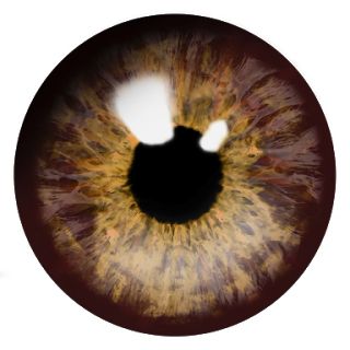 眼睛PNG透明元素免抠图素材 16素材网编号:35652