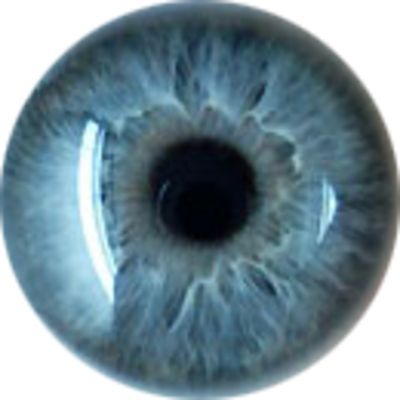 眼睛PNG透明元素免抠图素材 16素材网编号:35655