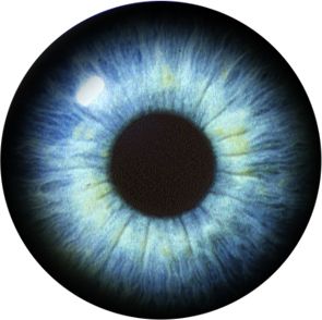眼睛PNG透明元素免抠图素材 16素材网编号:35660