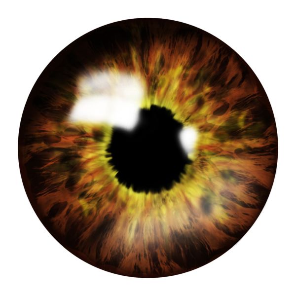眼睛PNG透明元素免抠图素材 16素材网编号:35661