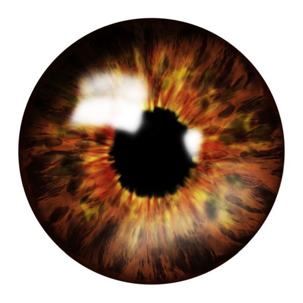眼睛PNG透明元素免抠图素材 16素材网编号:35662