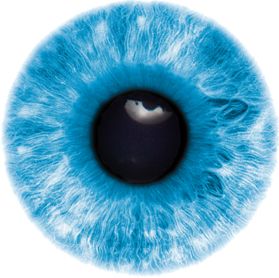 眼睛PNG透明元素免抠图素材 16素材网编号:35670