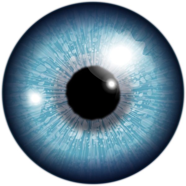 眼睛PNG透明元素免抠图素材 16素材网编号:35672