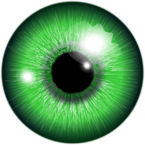 眼睛PNG透明元素免抠图素材 16素材网编号:35674