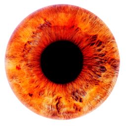 眼睛PNG透明元素免抠图素材 16素材