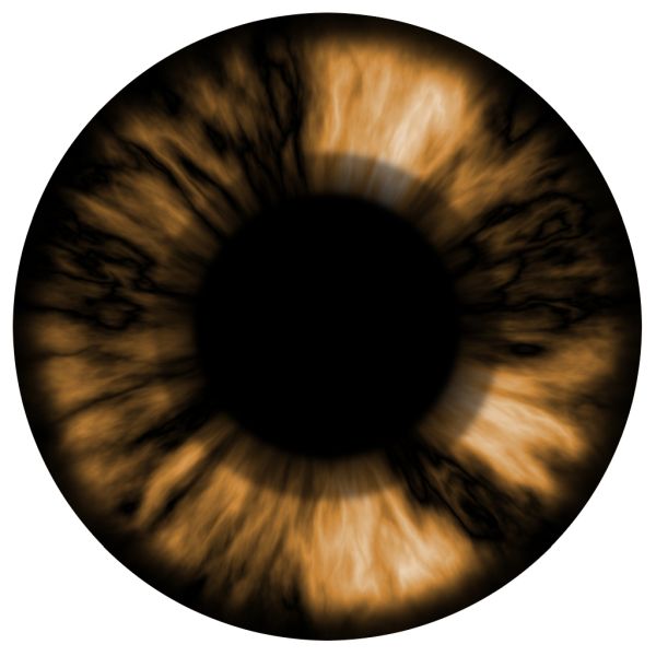 眼睛PNG透明背景免抠图元素 16图库网编号:35682