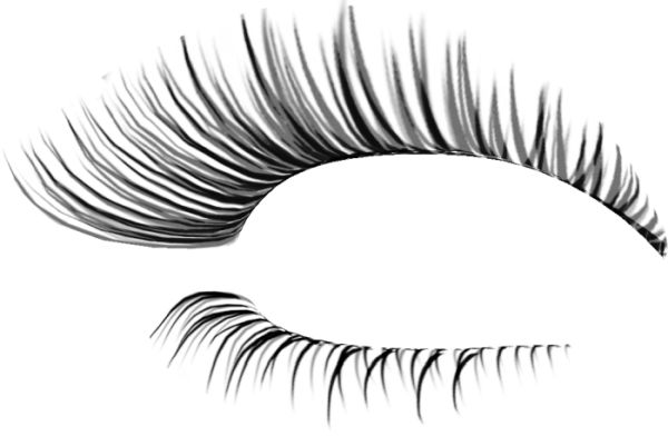 睫毛PNG免抠图透明素材 16设计网编号:76302