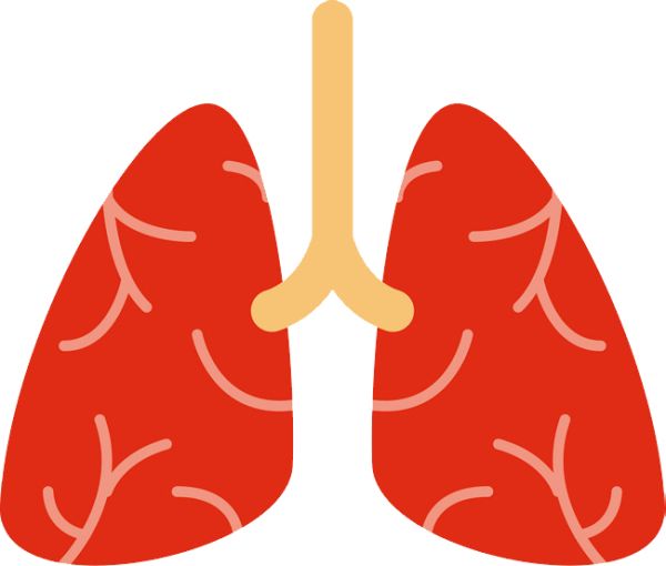 肺 PNG免抠图透明素材 素材天下编号:74859