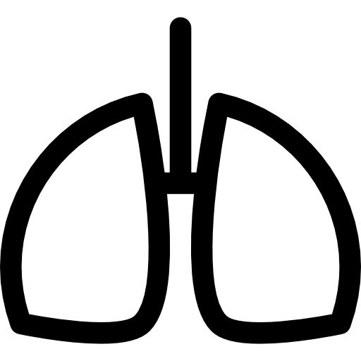 肺 PNG透明背景免抠图元素 16图库网编号:74883
