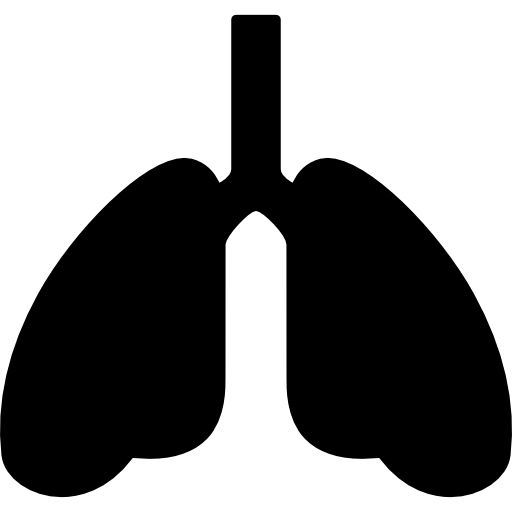 肺 PNG免抠图透明素材 16设计网编号:74884