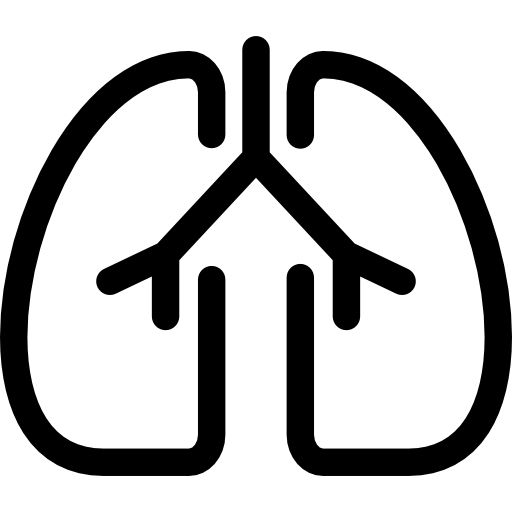 肺 PNG透明背景免抠图元素 16图库网编号:74888