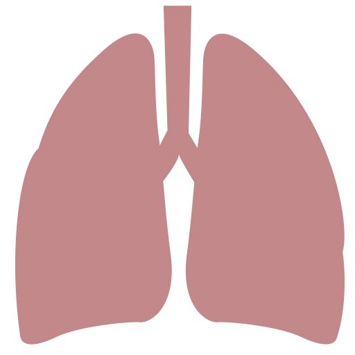 肺 PNG免抠图透明素材 16设计网编号:74889