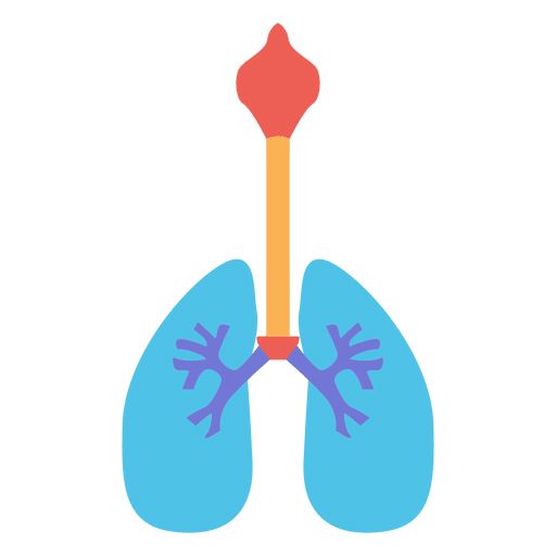 肺 PNG免抠图透明素材 16设计网编号:74891