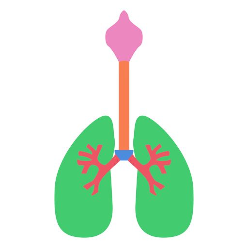 肺 PNG免抠图透明素材 普贤居素材编号:74892
