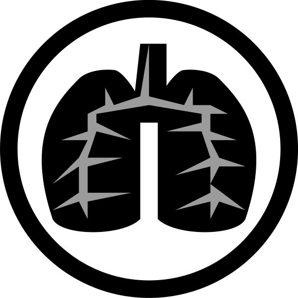 肺 PNG免抠图透明素材 16设计网编号:74893