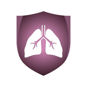 肺 PNG透明元素免抠图素材 16素材网编号:74898