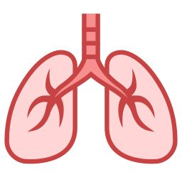 肺 PNG透明元素免抠图素材 16素材网编号:74917