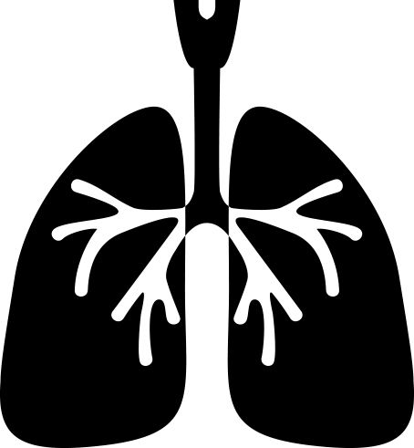 肺 PNG免抠图透明素材 普贤居素材编号:74918