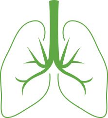肺 PNG免抠图透明素材 16设计网编号:74924