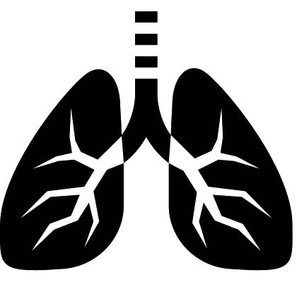 肺 PNG透明元素免抠图素材 16素材网编号:74932