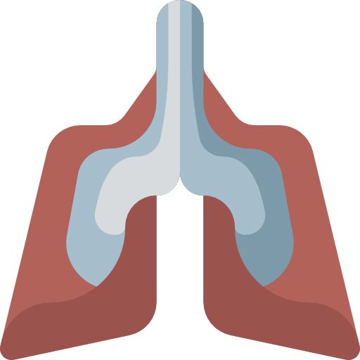 肺 PNG透明背景免抠图元素 16图库网编号:74933