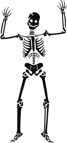 Skeleton siluet PNG image 图片编号:5556