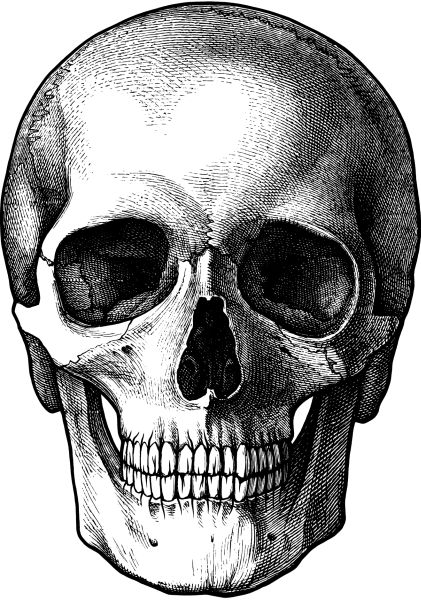 骷髅 PNG免抠图透明素材 16设计网编号:42563