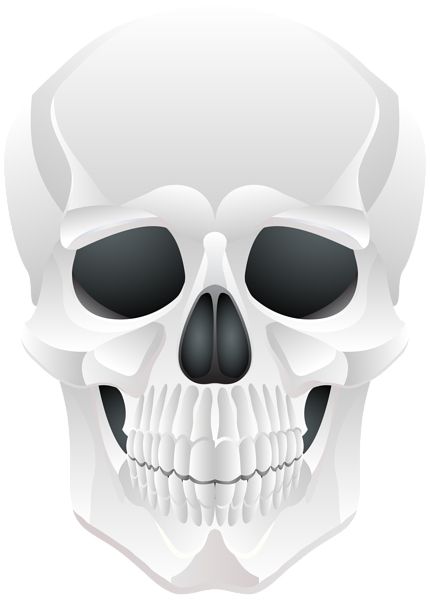 骷髅 PNG免抠图透明素材 16设计网编号:42569