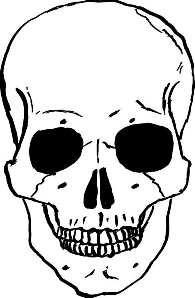 骷髅 PNG透明背景免抠图元素 16图库网编号:42574