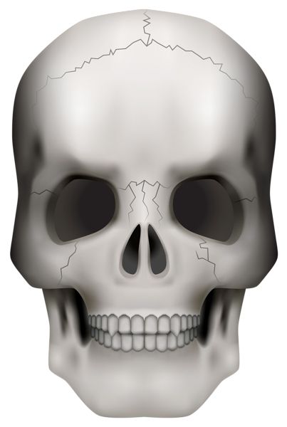 骷髅 PNG透明背景免抠图元素 16图库网编号:42604